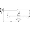 Raindance AIR  Верхний душ, 300мм, с держателем 383мм